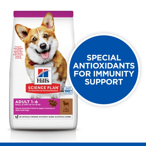 Adult Small & Mini Breed Dry Dog Food with Lamb & Rice
