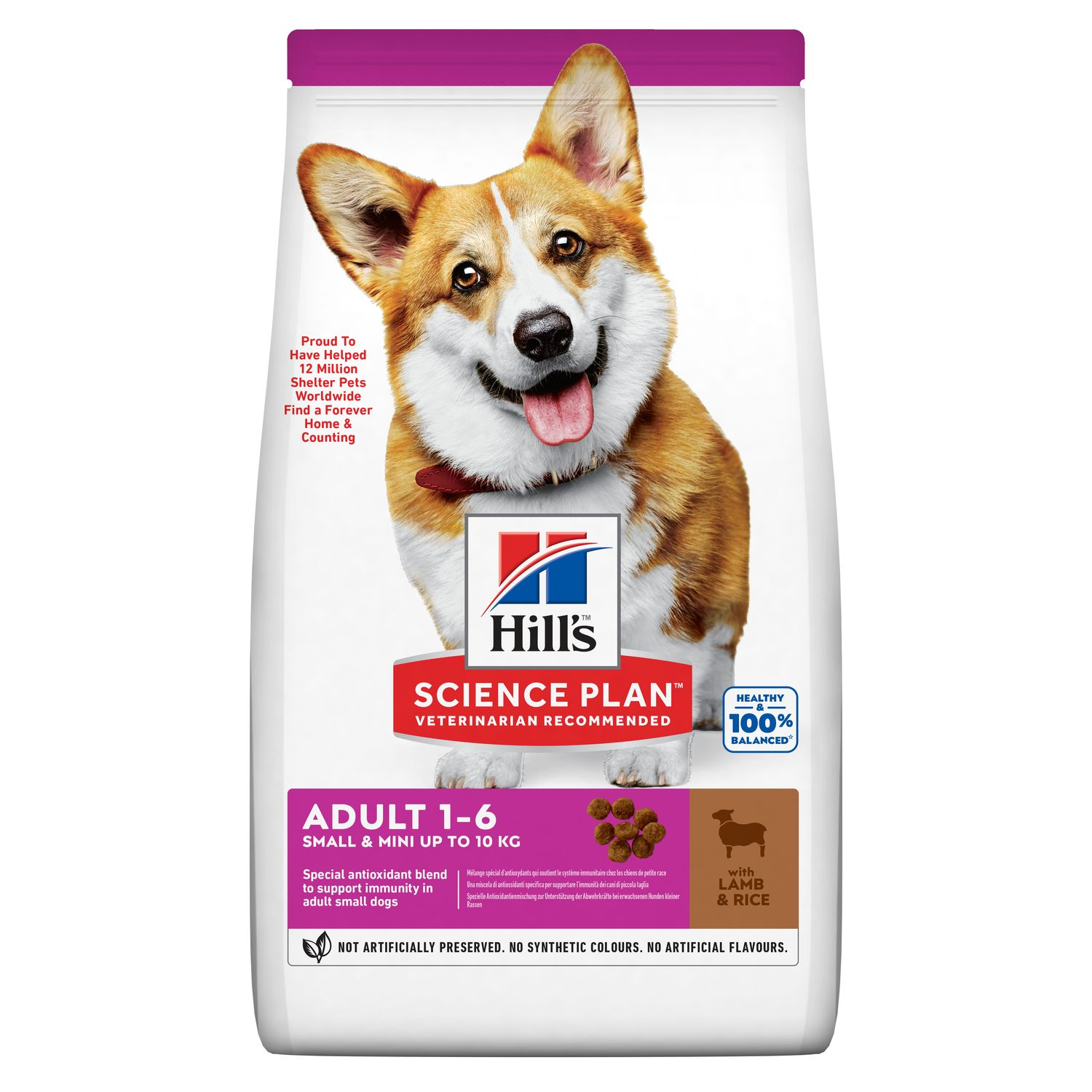 Adult Small & Mini Breed Dry Dog Food with Lamb & Rice